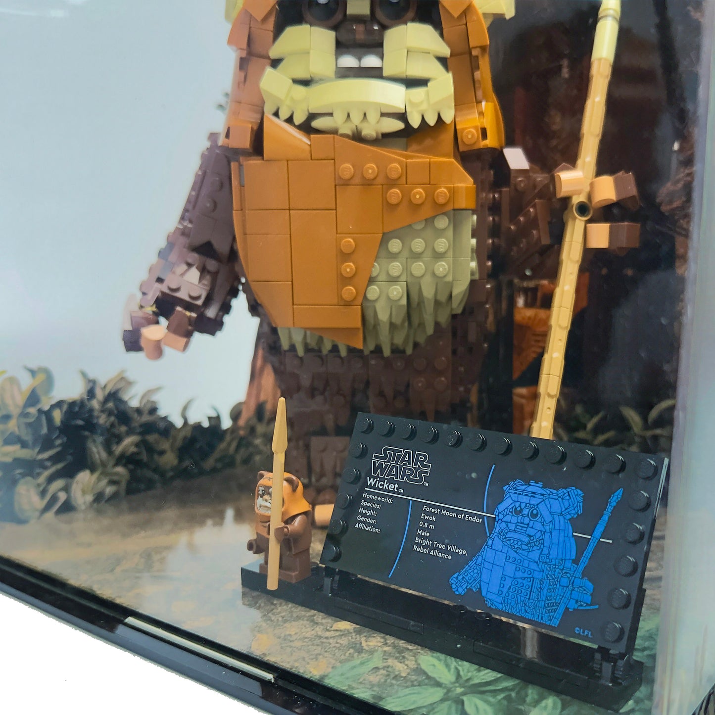 LEGO® Star Wars Wicket the Ewok (75430) Display Case